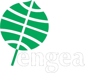Engea